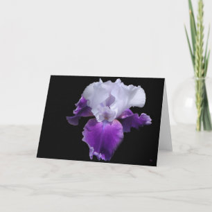 Simply Royal Custom Greeting Cards