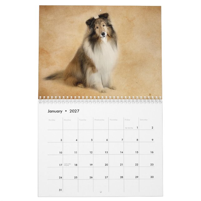 Simply Shelties Calendar (Jan 2027)