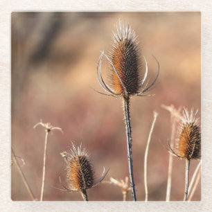 Simply Thistle Glass Coaster