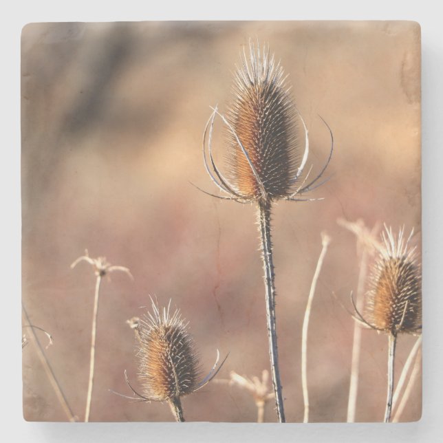 Simply Thistle Stone Coaster (Front)