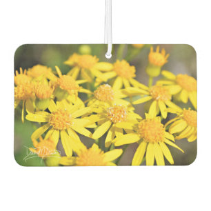 Simply Yellow Car Air Freshener