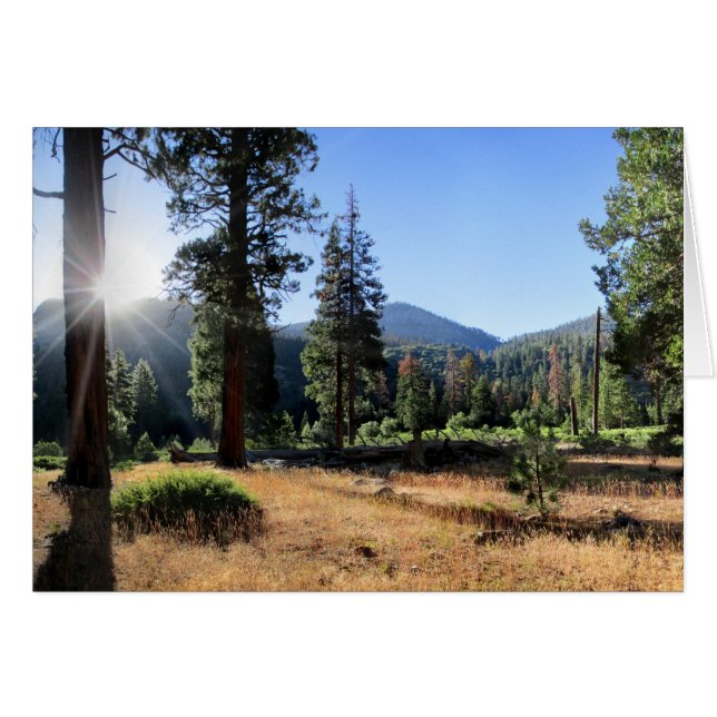 Simpson Meadow - Sierra (Front Horizontal)