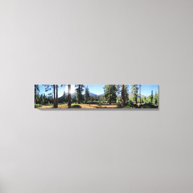 Simpson Meadow - Sierra Canvas Print (Front)