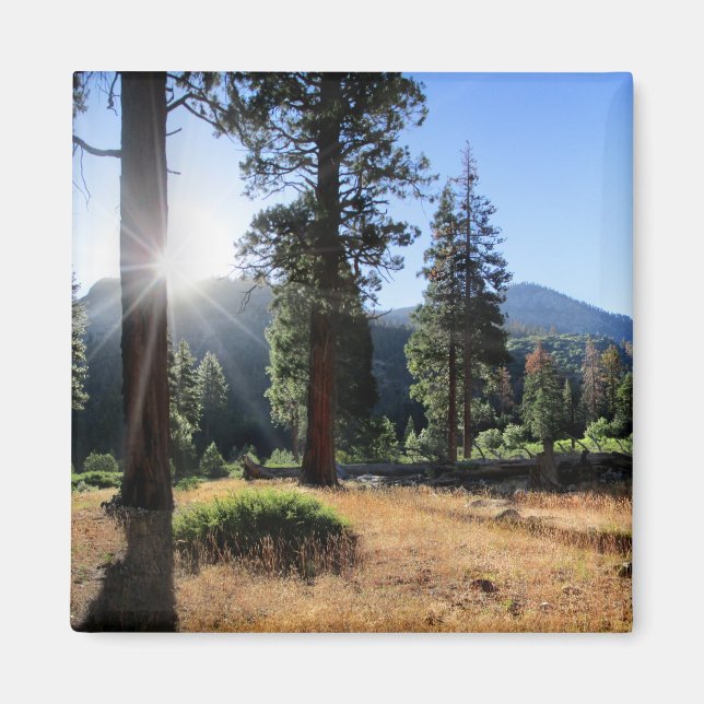 Simpson Meadow - Sierra Magnet (Front)