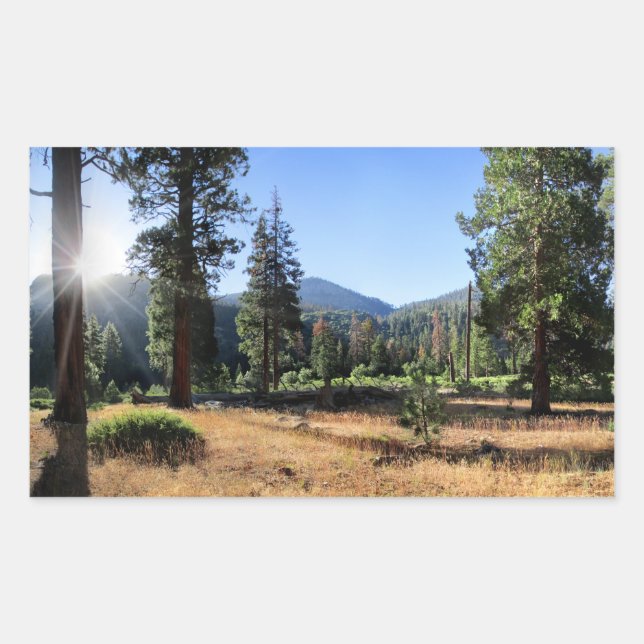Simpson Meadow - Sierra Rectangular Sticker (Front)
