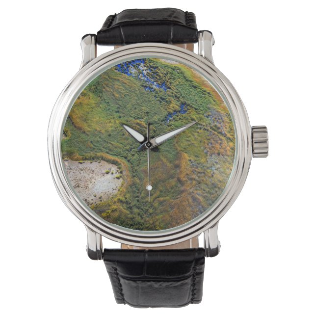 Simpsons Desert Watch (Front)