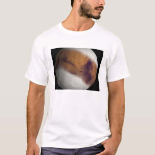Simulated view of Mars T-Shirt