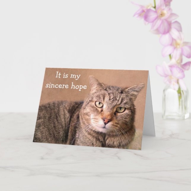 Sincere Cat Get Well Card (Orchid)