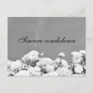 Sincere condolence postcard