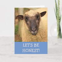 Sincere Honest Sheep Get Well