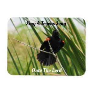 Sing A Joyous Song  - Backyard Bird Quote  Magnet