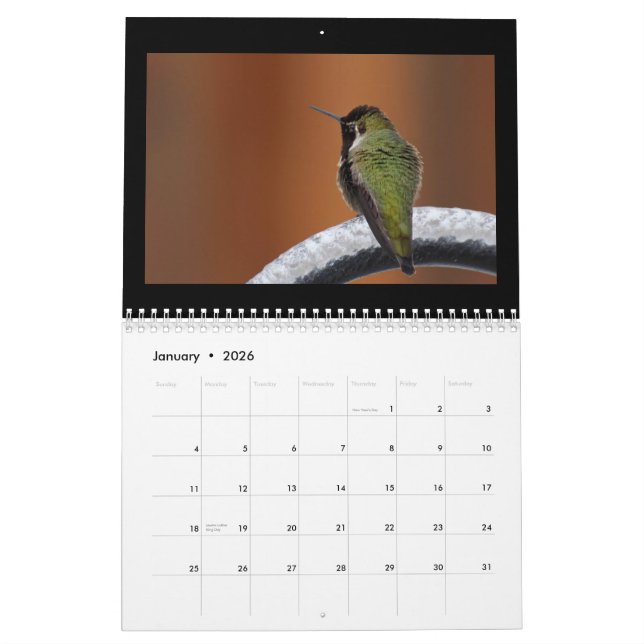 Sing A New Song Everyday Calendar (Jan 2026)