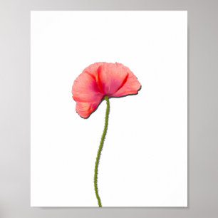 Sing red poppy flower minimalist simplicity poster