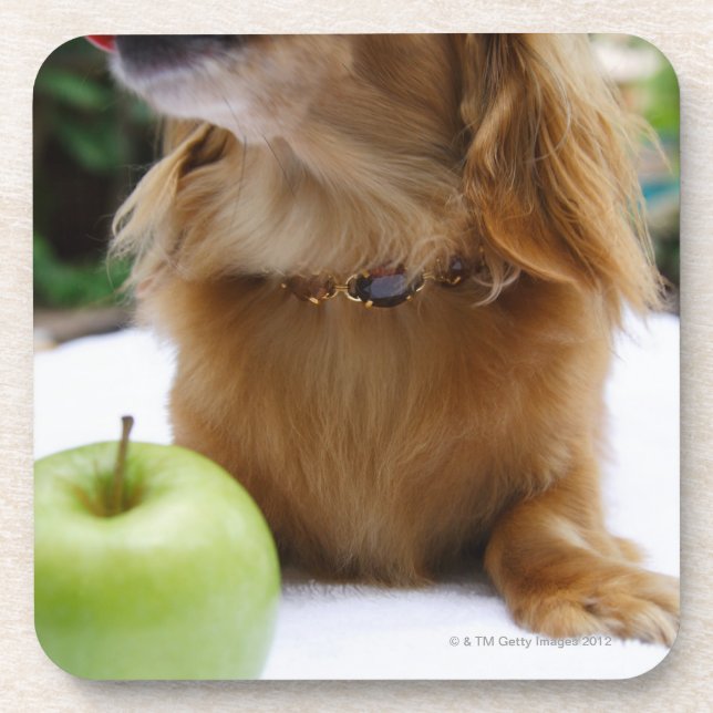 Singapore 5 coaster (Front)