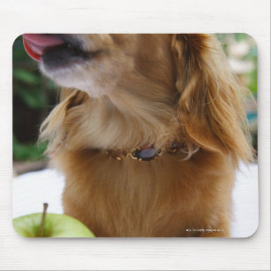 Singapore 5 mouse mat