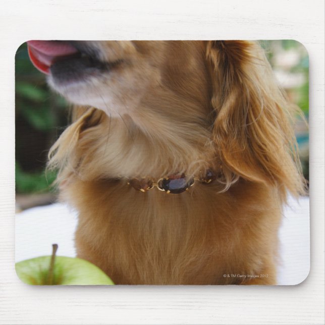 Singapore 5 mouse mat (Front)