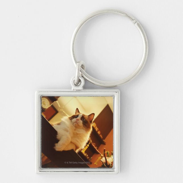 Singapore 6 key ring (Front)