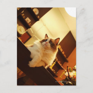 Singapore 6 postcard