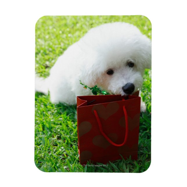 Singapore 7 magnet (Vertical)