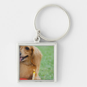 Singapore 8 key ring