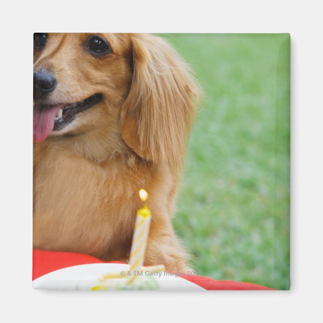 Singapore 8 magnet (Front)