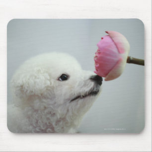 Singapore 9 mouse mat