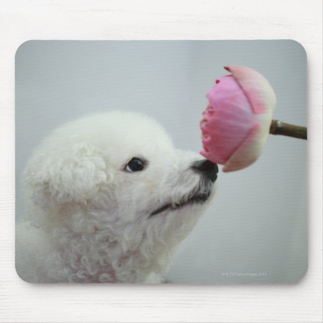 Singapore 9 mouse mat (Front)