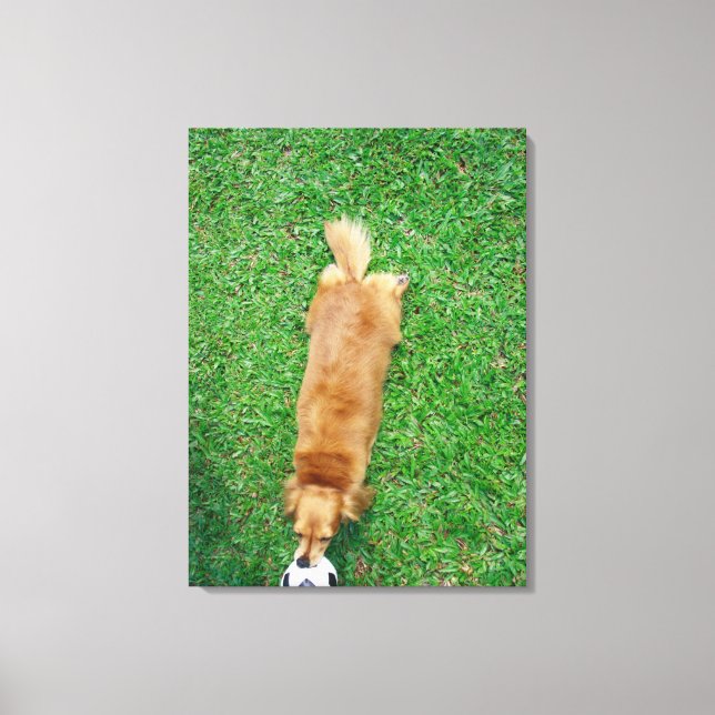 Singapore Canvas Print (Front)