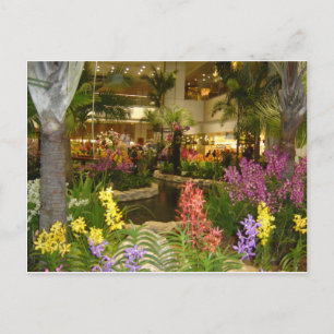 Singapore Changi Airport Postcard