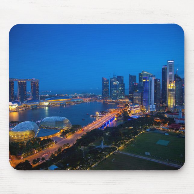 Singapore Downtown at Night Mouse Mat (Front)