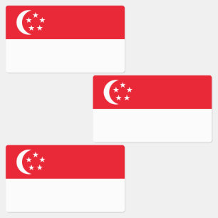 Singapore Flag