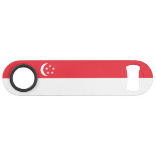 Singapore Flag