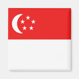 Singapore Flag Magnet