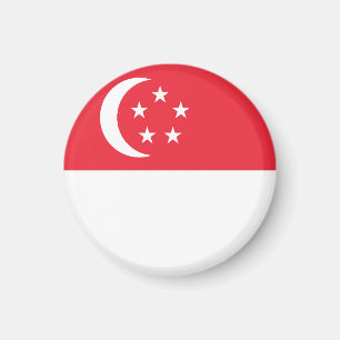 Singapore flag magnet