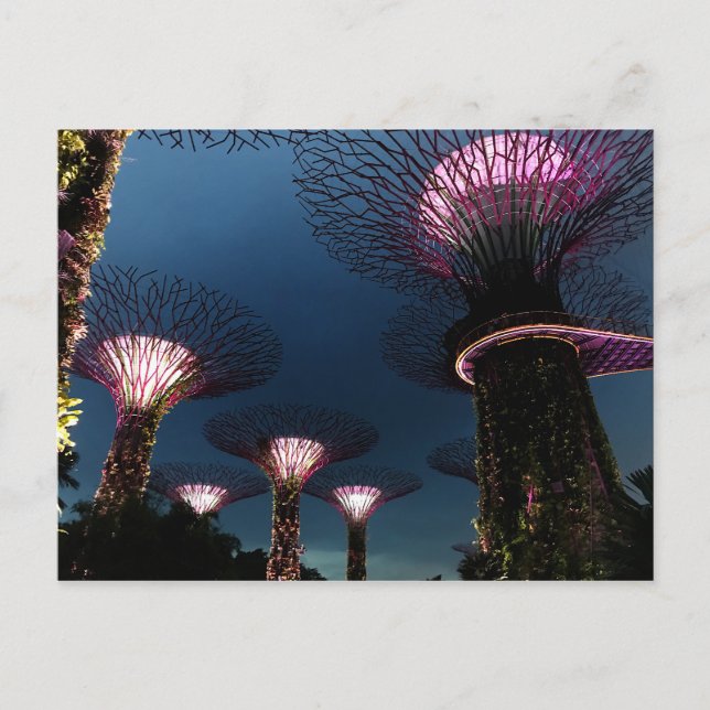 Singapore Gardens by the Bay #1 Postcard (Front)