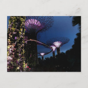 Singapore Gardens by the Bay #2 Postcard