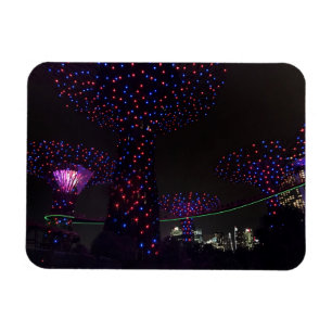 Singapore Gardens by the Bay #3 Magnet