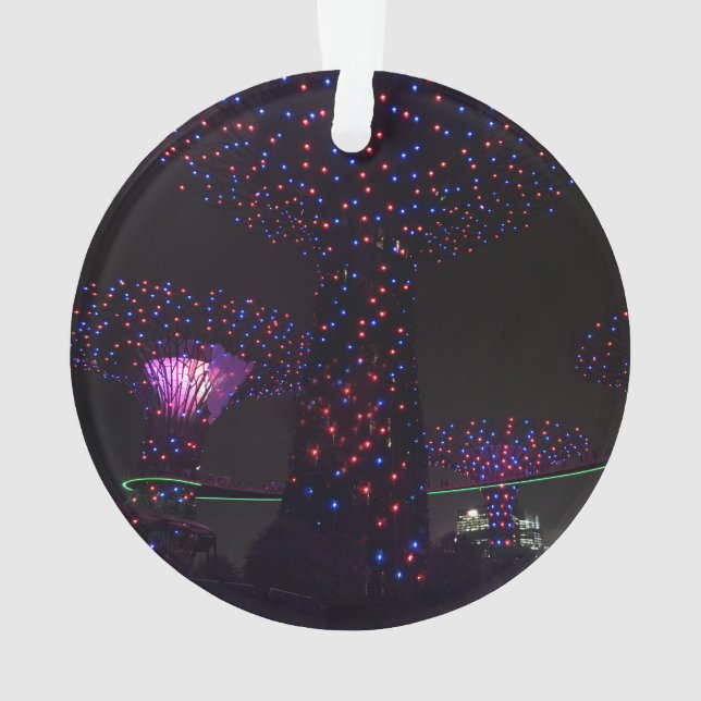 Singapore Gardens by the Bay #3 Ornament (Back)