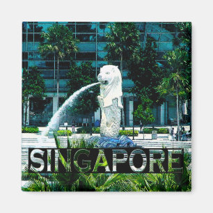 Singapore Magnet