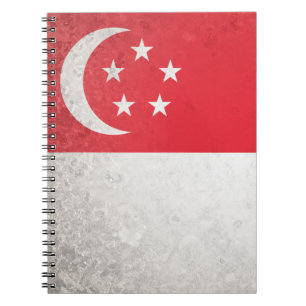 Singapore Notebook