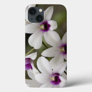 Singapore (Sanskrit for Lion City). National 2 iPhone 13 Case