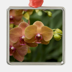 Singapore Sanskrit for Lion City). National 2 Metal Tree Decoration