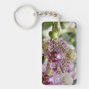 Singapore (Sanskrit for Lion City). National Key Ring