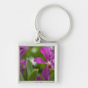 Singapore Sanskrit for Lion City). National Key Ring