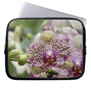 Singapore (Sanskrit for Lion City). National Laptop Sleeve