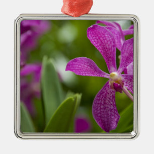 Singapore Sanskrit for Lion City). National Metal Tree Decoration