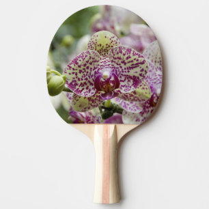 Singapore (Sanskrit for Lion City). National Ping Pong Paddle
