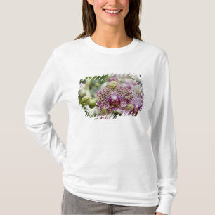 Singapore (Sanskrit for Lion City). National T-Shirt