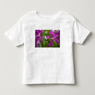 Singapore Sanskrit for Lion City). National Toddler T-Shirt