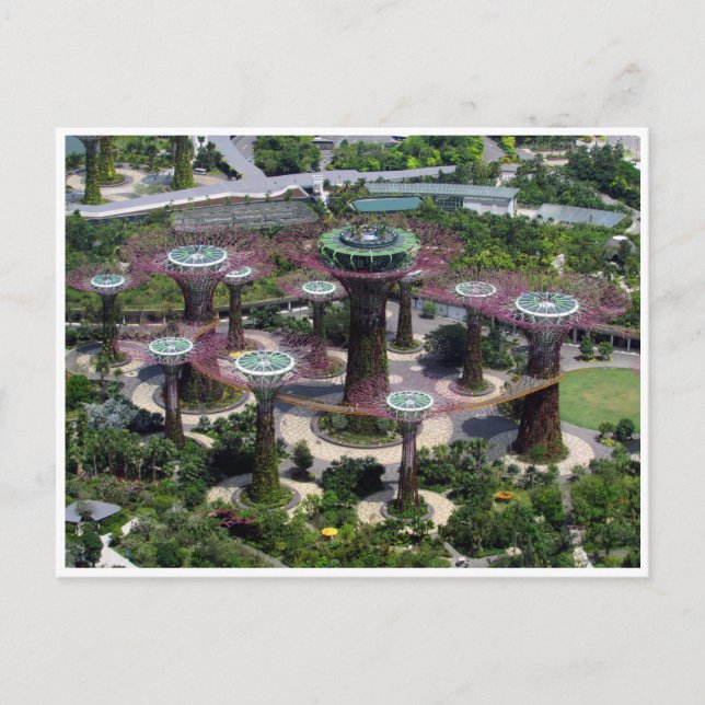 singapore supertrees postcard (Front)
